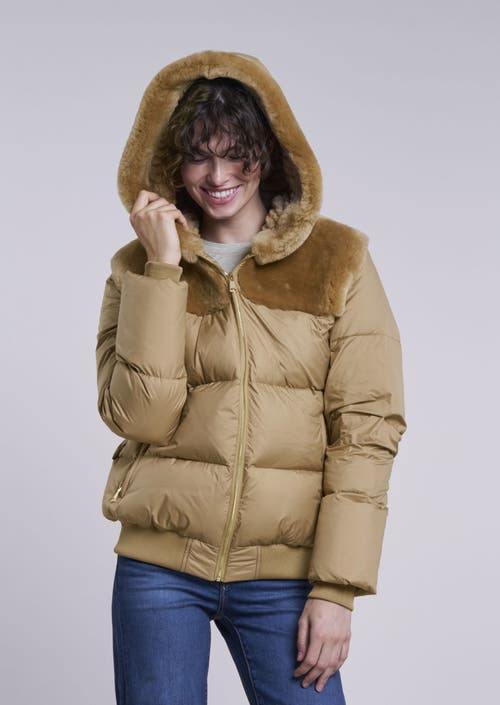 Blue Duck Down Jacket In Brown