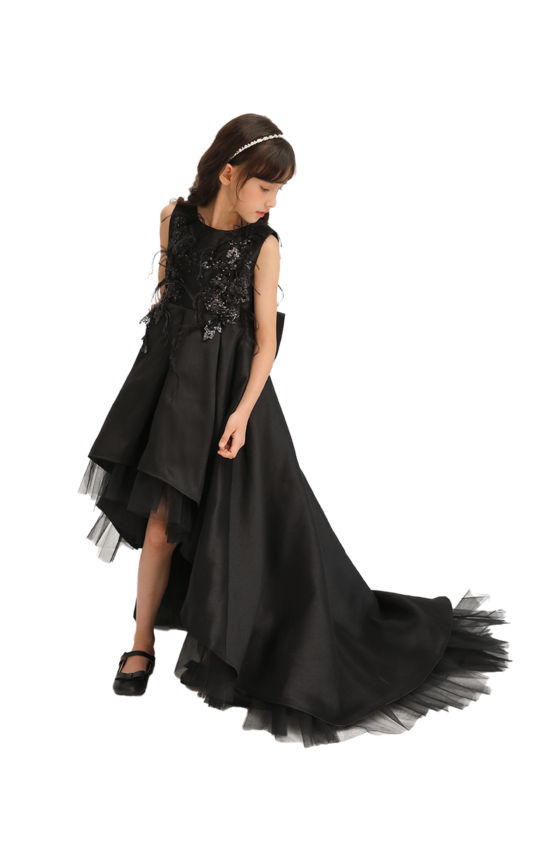 Tulleen Salem Dress, Alternate, color, Black