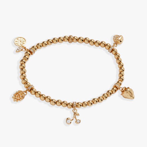 Alex And Ani Summer Fruits Charm Stretch Bracelet