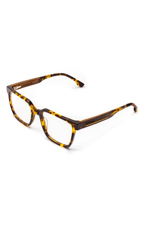 Bohten Bôhten Jade 50mm Gradient Square Optical Glasses In Multi
