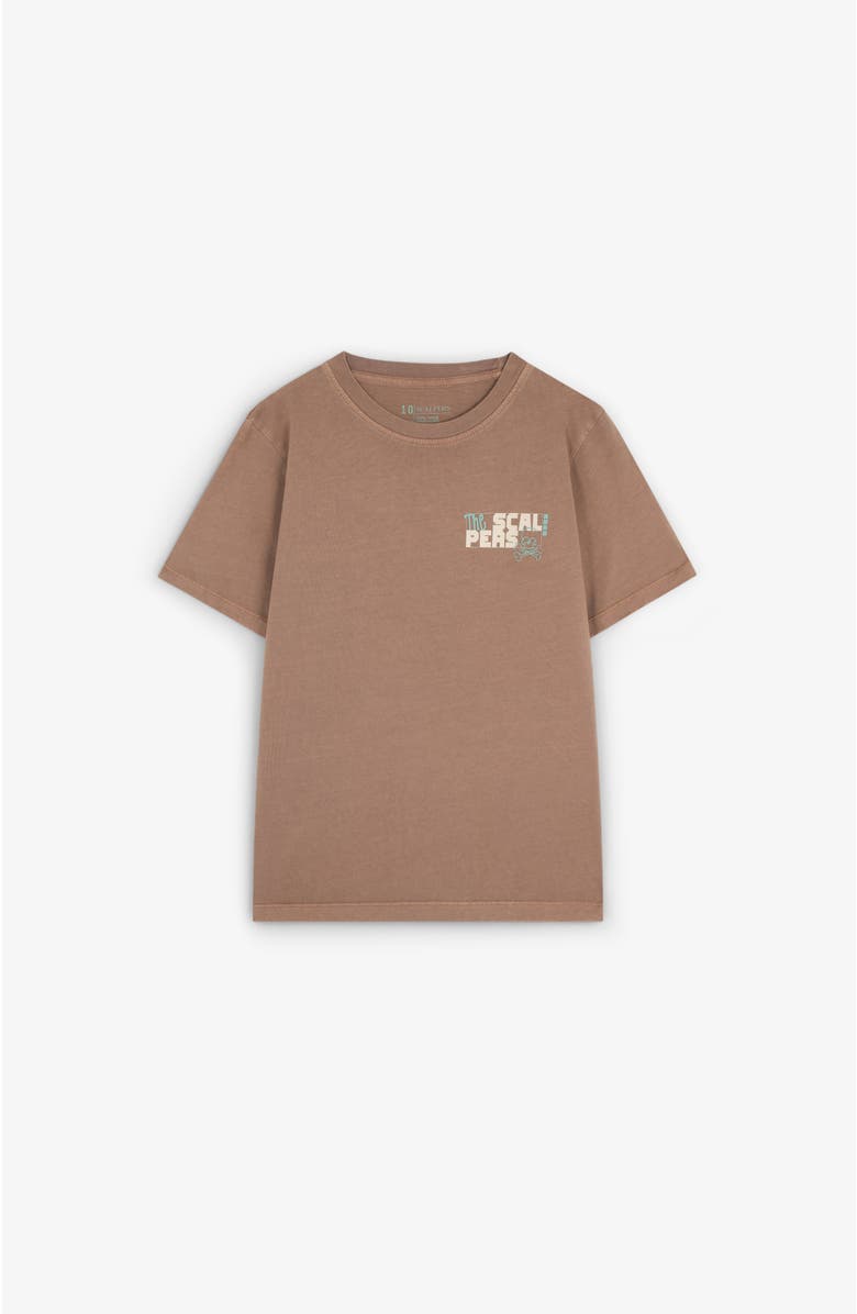Scalpers Crewtee Kids, Main, color, Brown