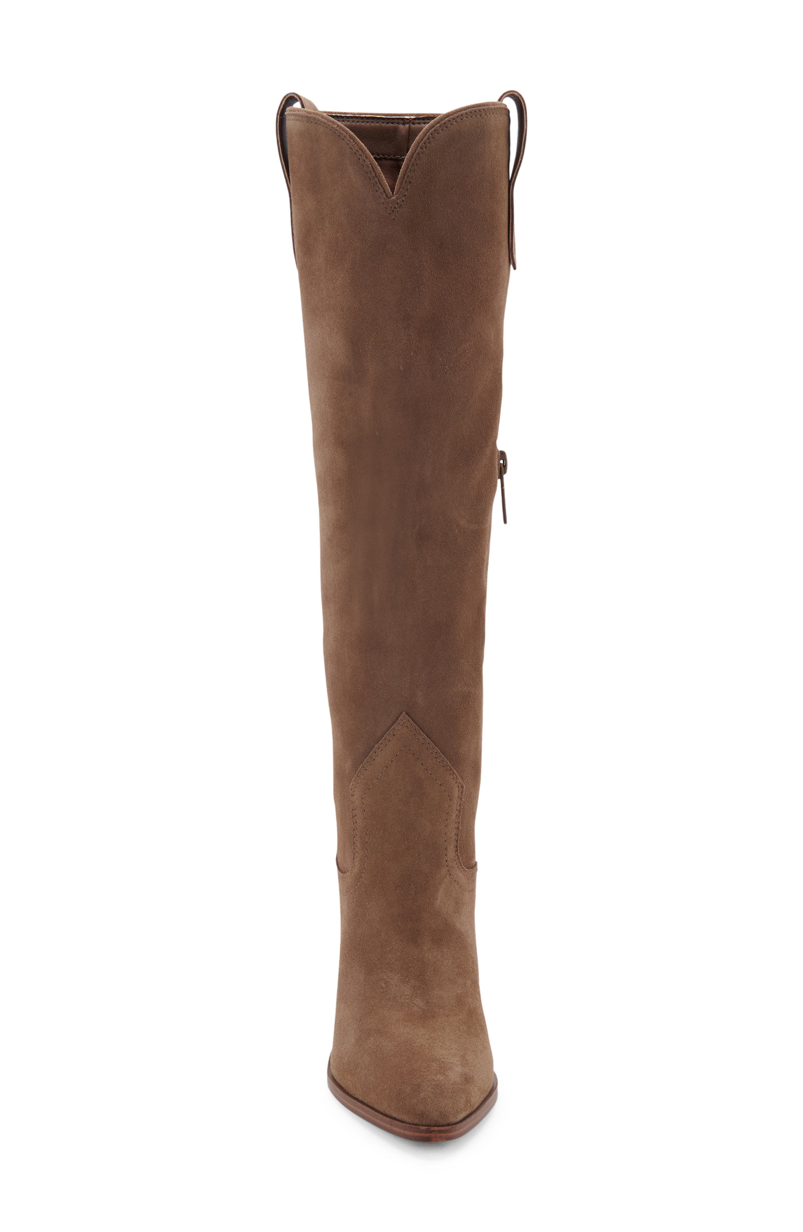 Wylde Waterproof Pointed Toe Boot, Alternate, color, TAUPE SUEDE