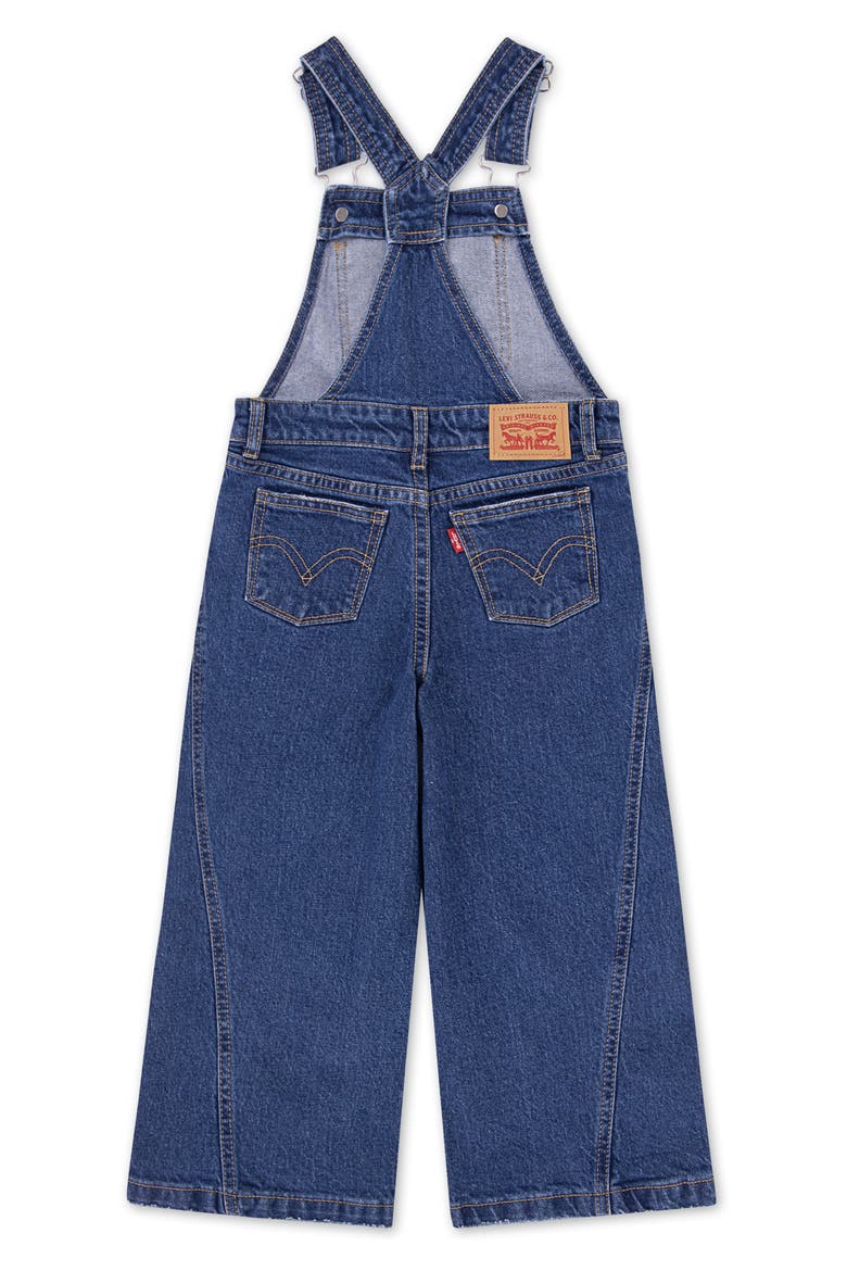Kids' Denim Cargo Overalls, Alternate, color, FAR AND WIDE