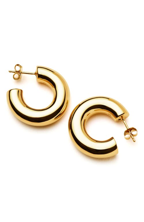 Missoma Large Chubby Hoop Earrings in Gold 