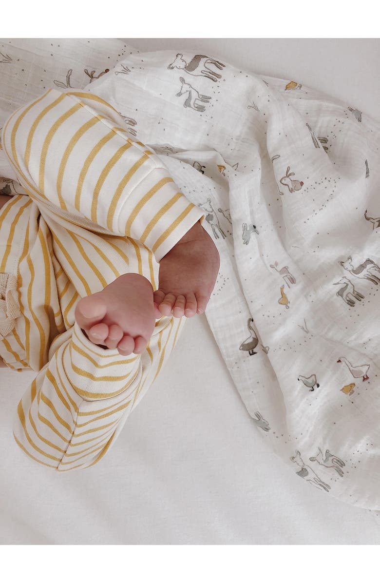 Pehr Stripe Organic Cotton Pants, Alternate, color, 