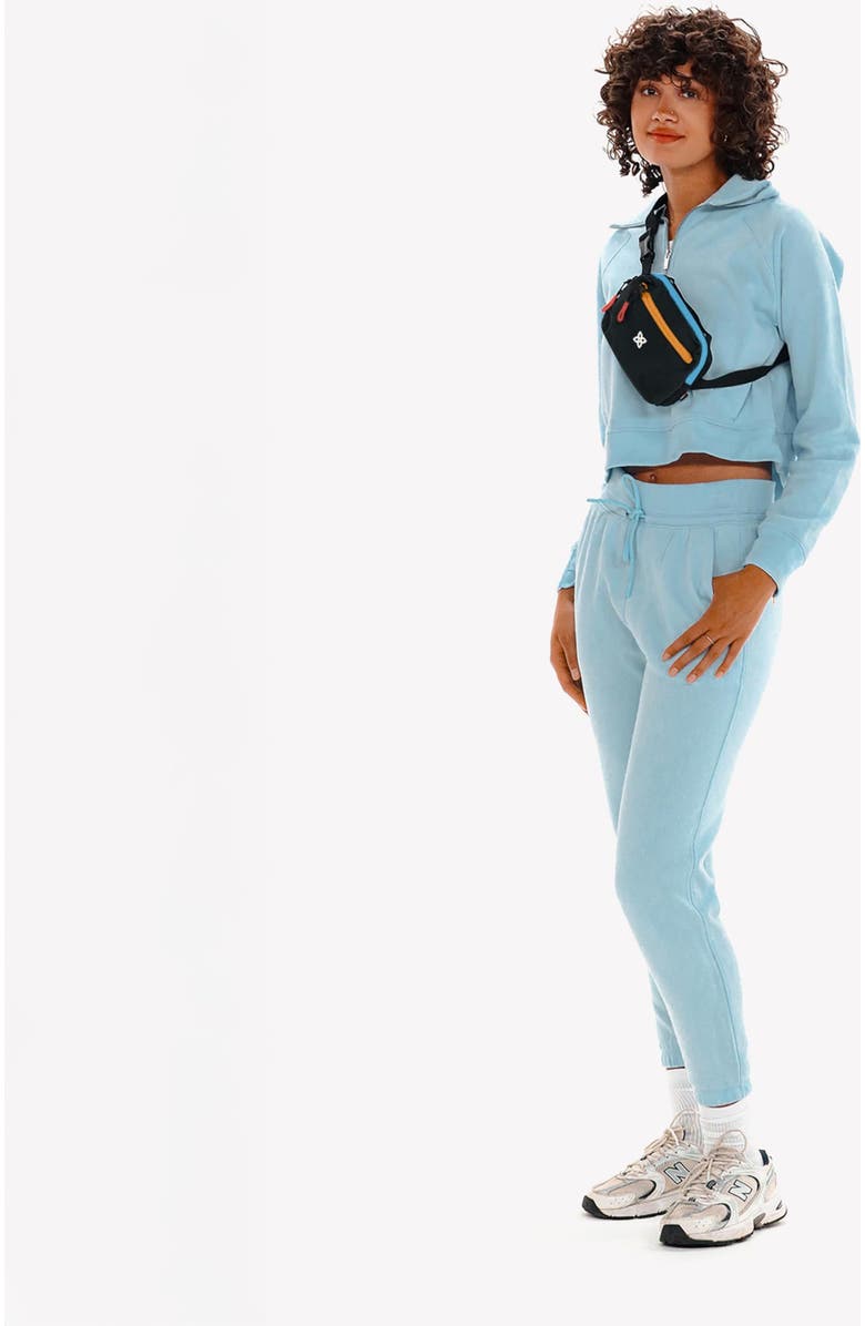 Sherpani Hyk RFID Protection Lightweight Belt Bag, Alternate, color,