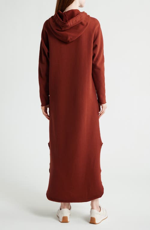 Frank & Eileen James Long Sleeve Hooded Cape Dress In Brown