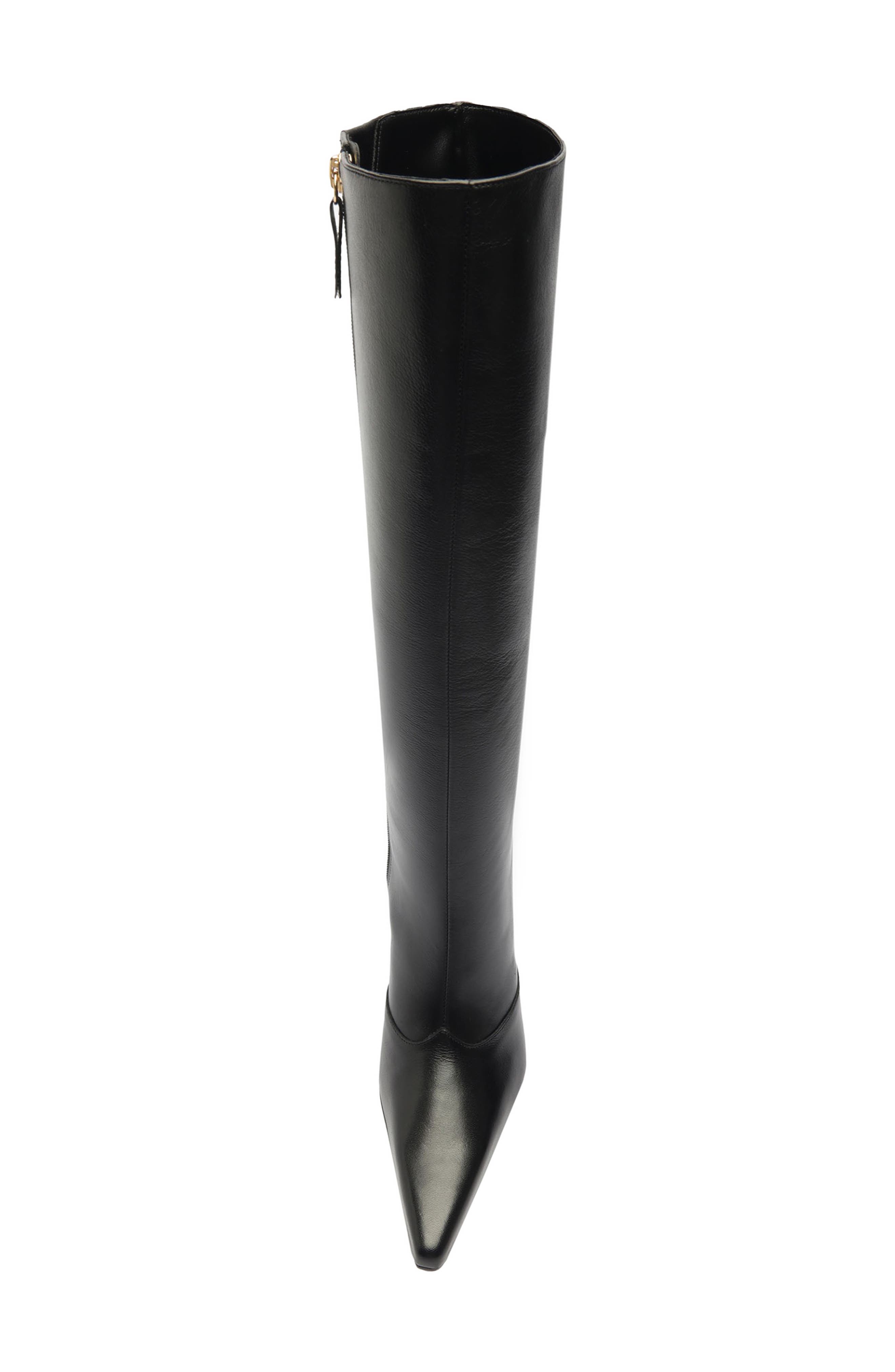 Schutz Raffaela Up Stiletto Pointed Toe Knee High Boot, Alternate, color, 