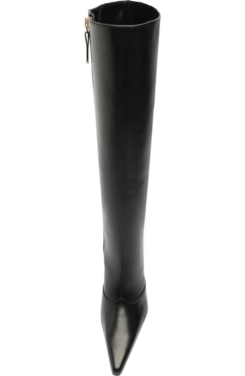 Schutz Raffaela Up Stiletto Pointed Toe Knee High Boot, Alternate, color,
