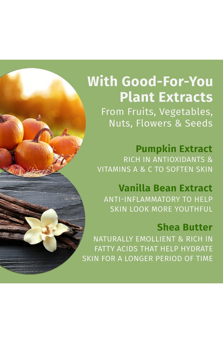 HEMPZ Pumpkin Spice & Vanilla Chai Herbal Body Moisturizer, Alternate, color, 