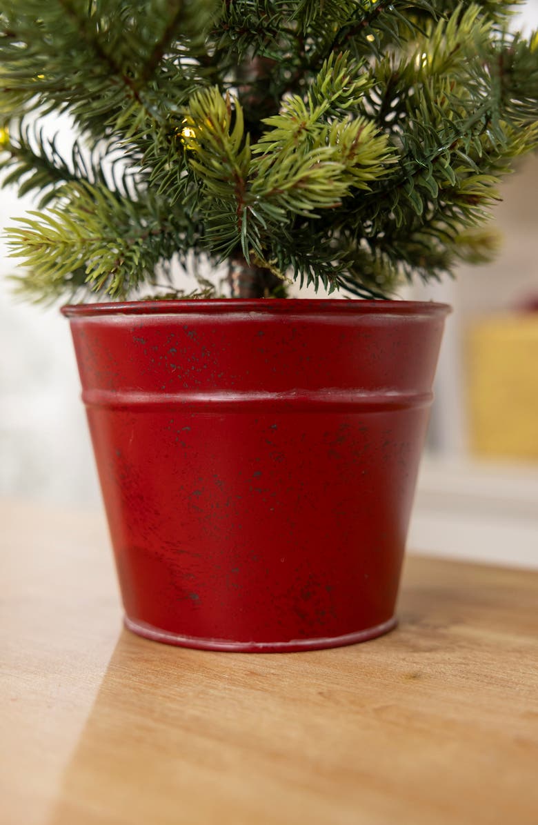 Balsam Hill Lit Countryside Tabletop Trees, Alternate, color, Green