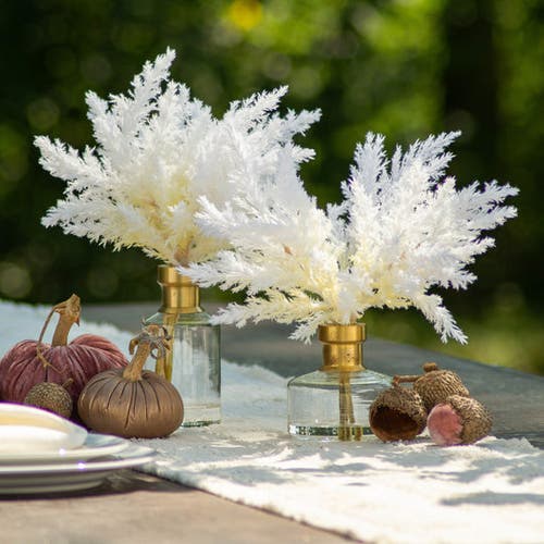 Darby Creek Trading Bleached Pampas Grass Arrangement