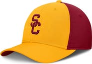 Nike Men's Nike Gold/Cardinal USC Trojans 2025 Sideline Rise Local Performance Flex Hat