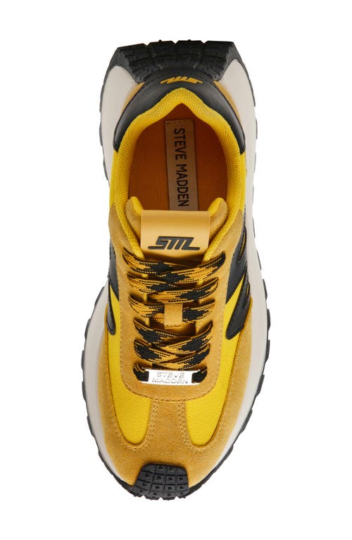 STEVE MADDEN STEVE MADDEN SUPERCAMPO PLATFORM SNEAKER