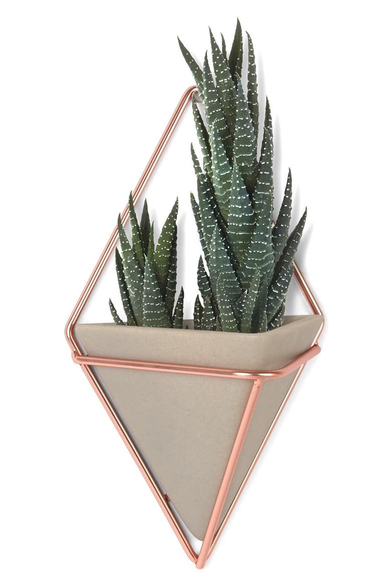 'Trigg Small' Wall Vessel, Alternate, color, COPPER