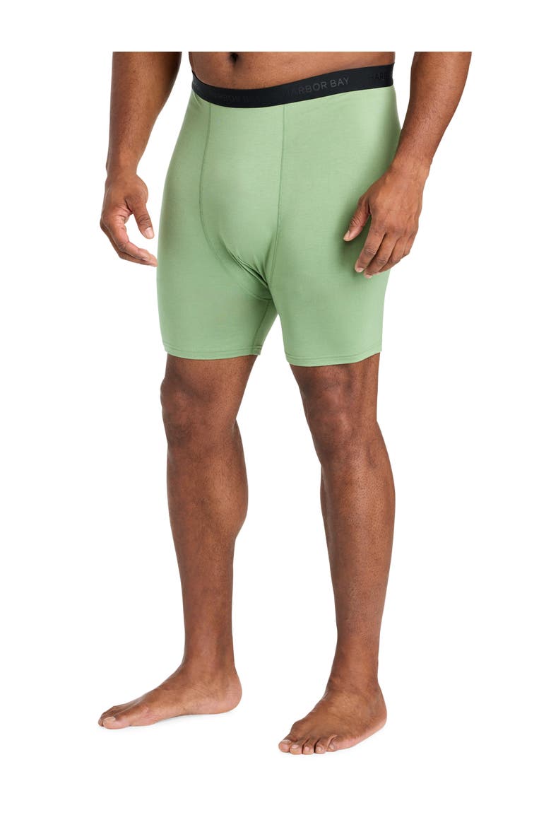 Big & Tall Modal 4 Inch Stretch Boxer Briefs V2, Alternate, color, FROST