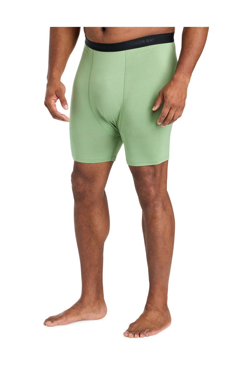 Harbor Bay by DXL Big & Tall Modal 4 Inch Stretch Boxer Briefs V2, Alternate, color, Frost