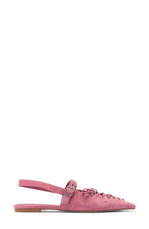 Jeffrey Campbell Geralt Pointed Toe Slingback Flat In Dusty Rose Suede