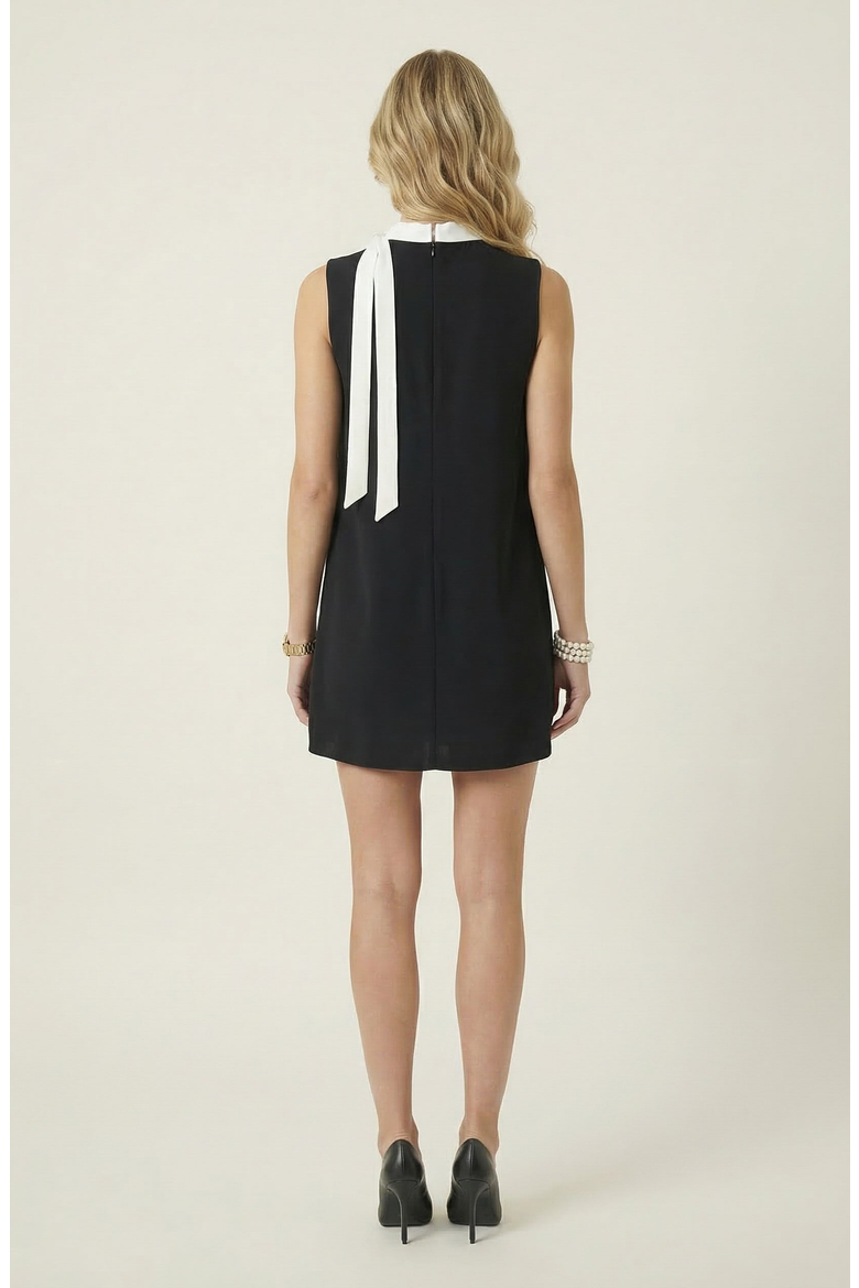 Sleeveless Shift Dress with Contrast Tie Neck and Pleat Detail, Alternate, color, Black / White