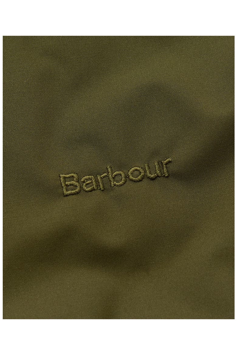 Monmouth Waterproof Dog Coat, Alternate, color, OLIVE