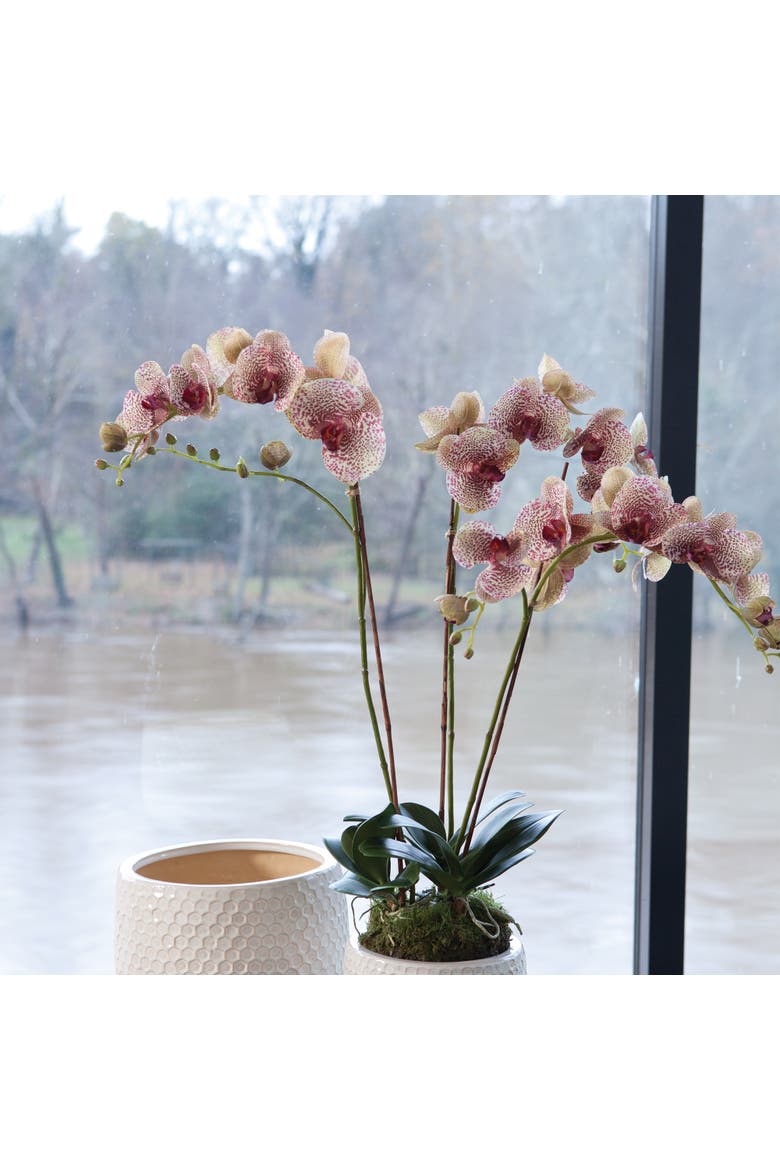 Phalaenopsis Orchid Faux (Fake) Drop-In 32", Alternate, color, Pink