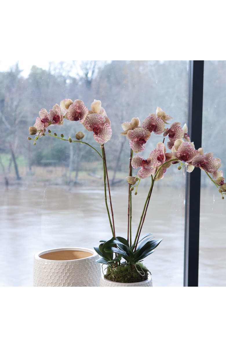 Napa Home & Garden Phalaenopsis Orchid Faux (Fake) Drop-In 32", Alternate, color, 