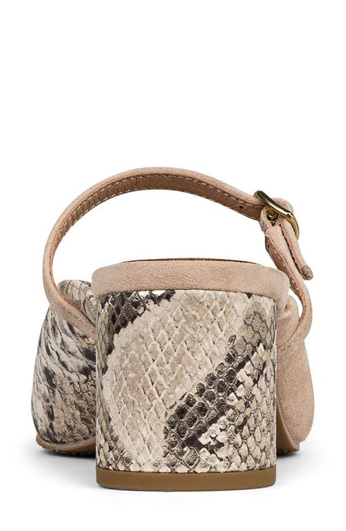 Donald Pliner Pointed Toe Mule