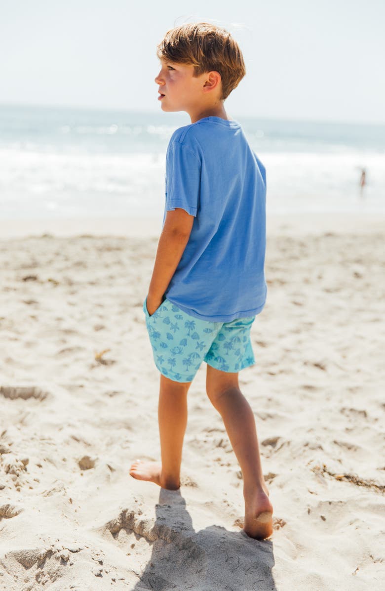 Feather 4 Arrow Kids' Volley Swim Trunks, Alternate, color, Aqua Crystal