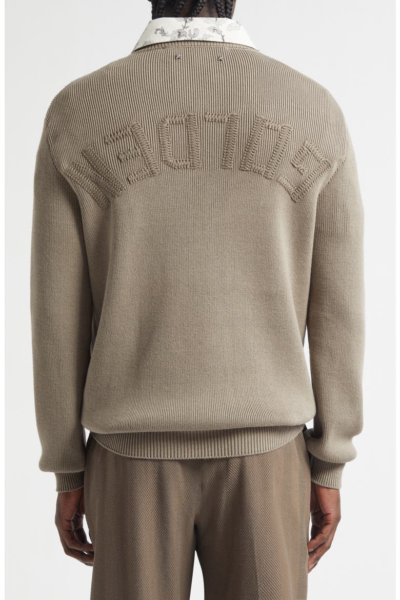Journey Regular Fit Embroidered Rib Sweater, Alternate, color, LIGHT TAUPE