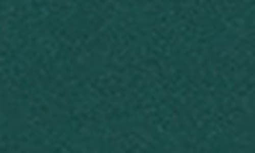 Alex Evenings Embellished Neck A-line Gown In Green