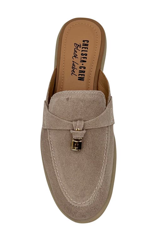 Shop Chelsea Crew Lasso Mule Loafer