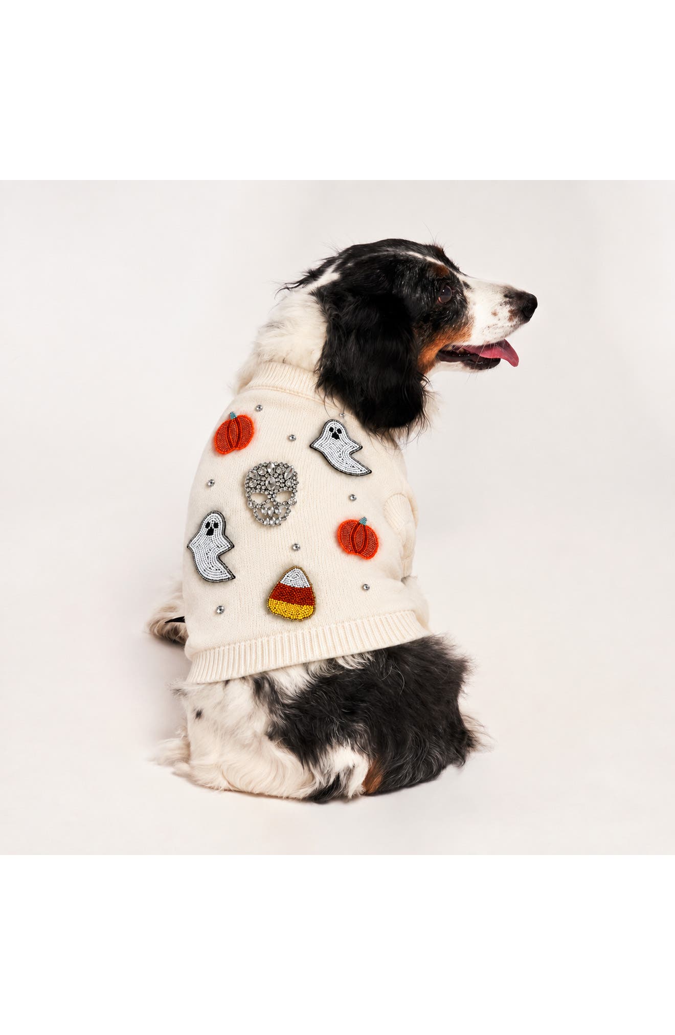 Found My Animal Beaded Icon Pet Sweater | Nordstrom