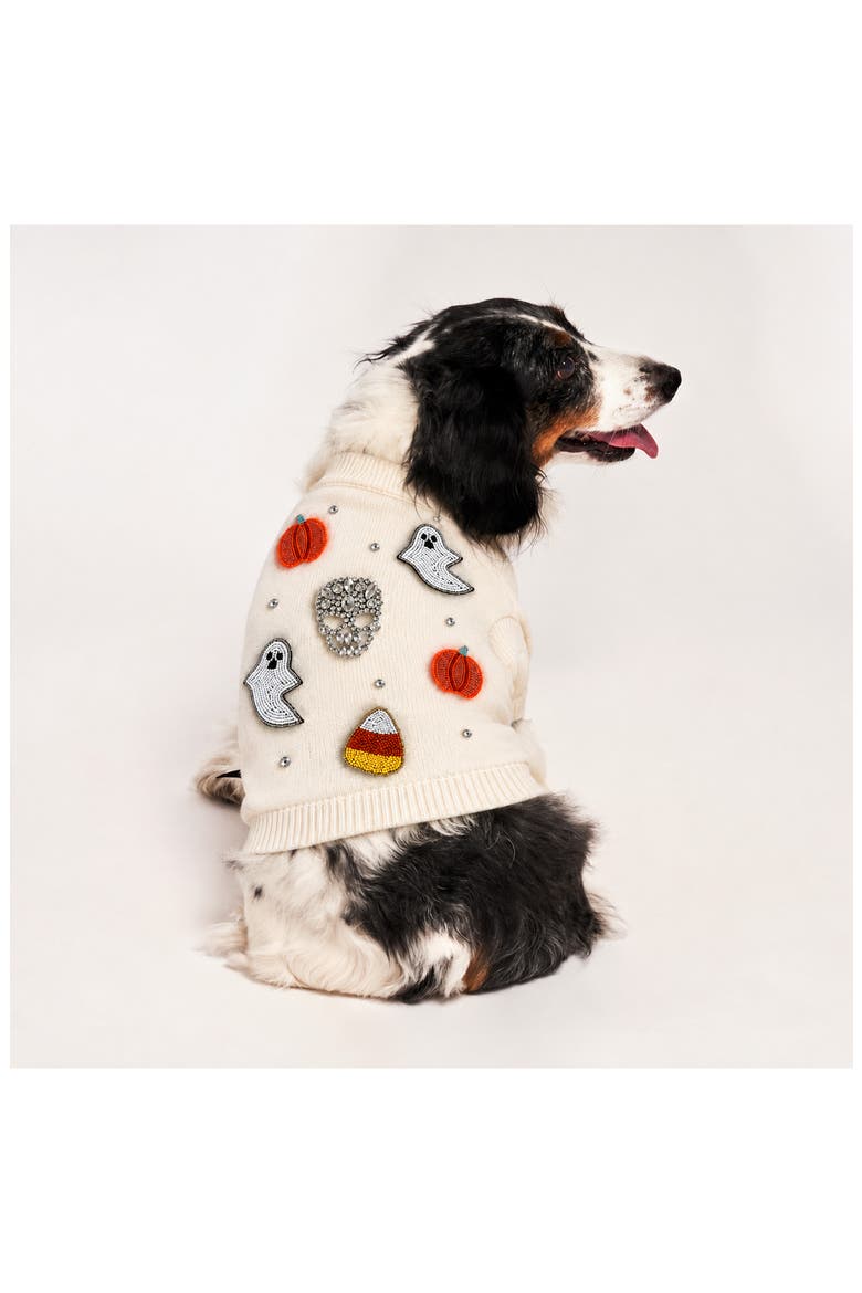 Beaded Icon Pet Sweater, Alternate, color, CREAM