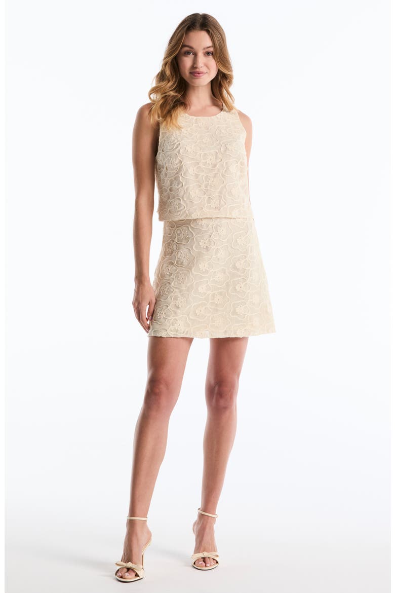 Embroidered High Waist Miniskirt, Alternate, color, WHITE SWAN