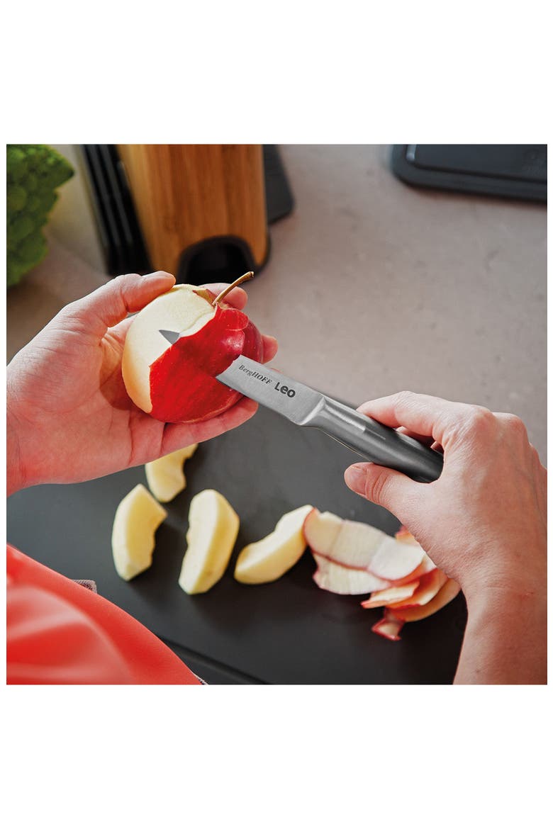 Leo Legacy 4-Piece Knife Set, Alternate, color, SILVER