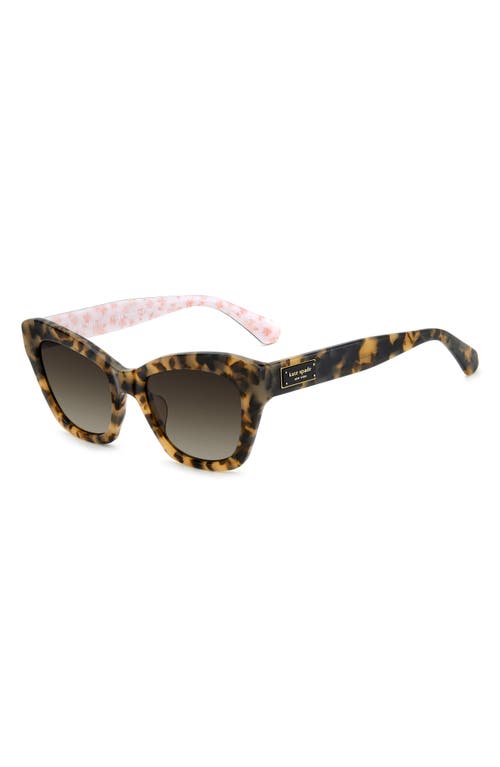 Kate Spade New York Daina 51mm Gradient Cat Eye Sunglasses In Havana/brown Sf