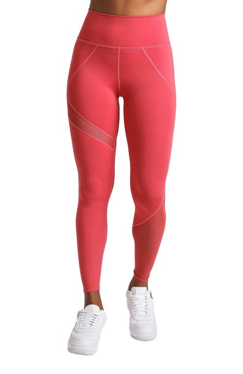 Losano Mesh Panel Legging in Vintage Rose  product