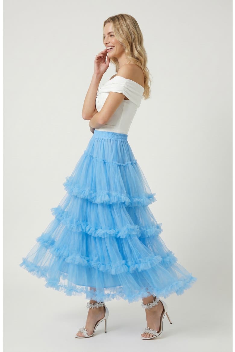 Tulle Maxi Skirt, Alternate, color, Light Blue
