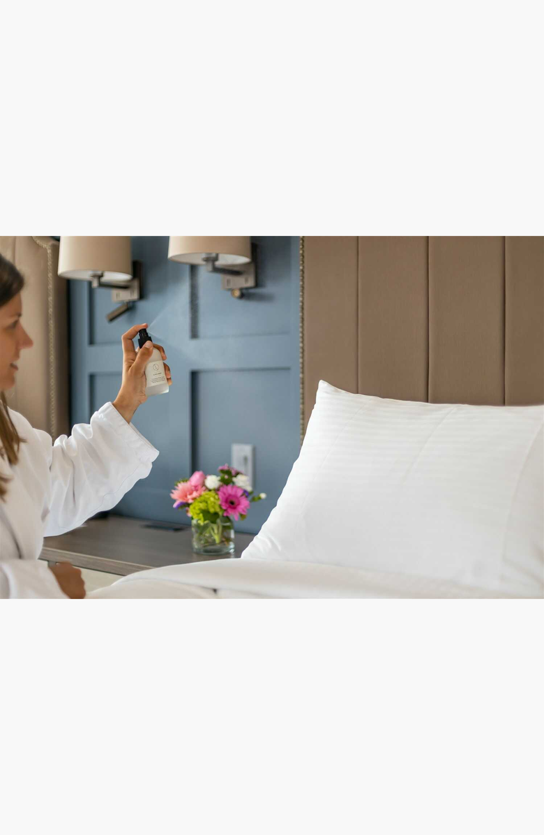 Lizush Eucalyptus Essential Home Spray, Alternate, color, NO COLOR