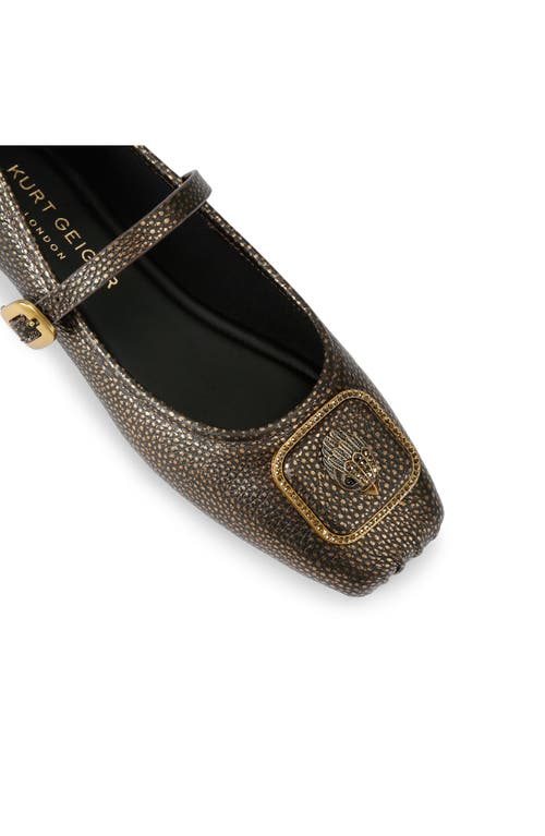 Kurt Geiger London Pimlico Mary Jane Ballet Flat In Brown