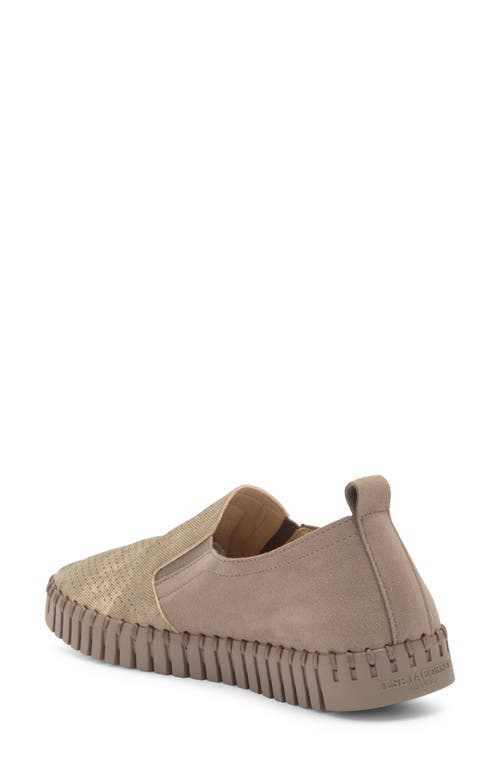 Ilse Jacobsen Tulip Perforated Slip-on Sneaker