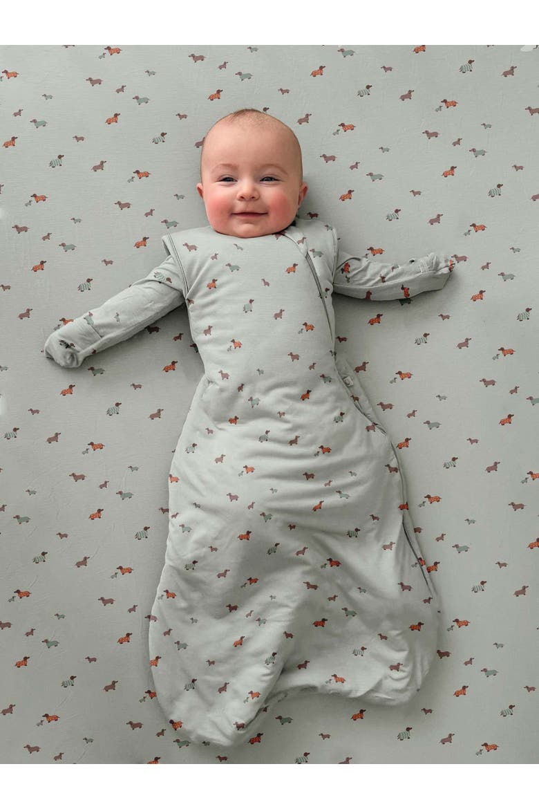 Transitional Swaddle Sleep Bag, 1.0 TOG - Baby, Alternate, color, Woof