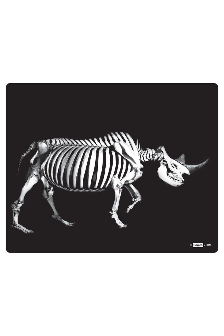 What's Inside Animals?, Alternate, color, Multicolor