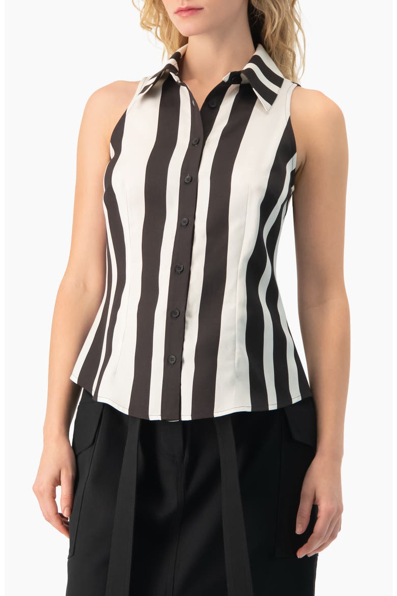 Bold Vertical Stripe Sleeveless Fitted Button-Front Shirt, Main, color, Black