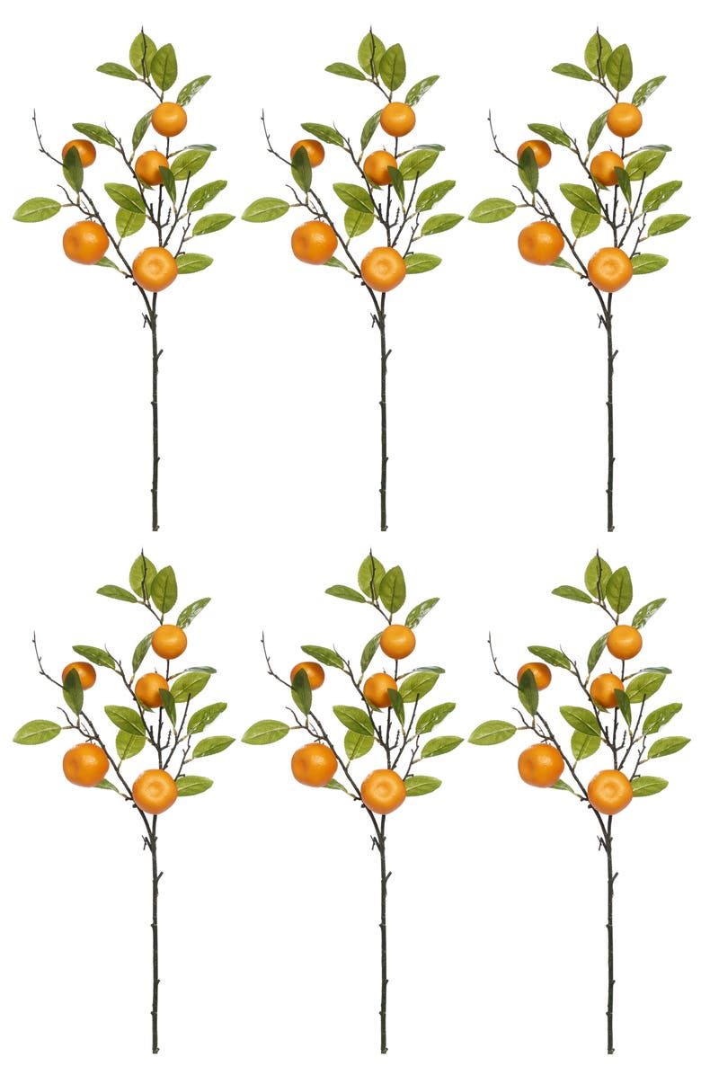 Mark Roberts Orange Spray, Box of 6, Alternate, color, Orange