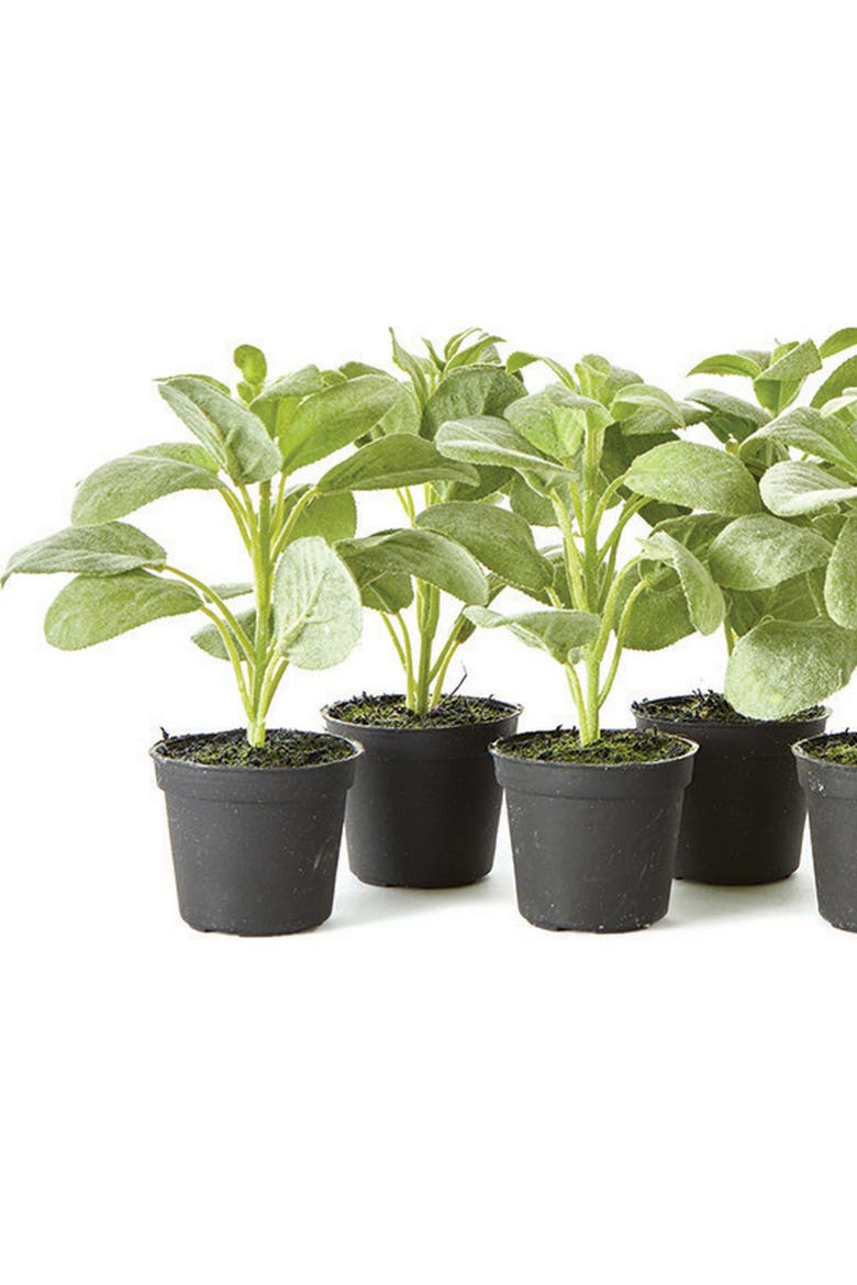 Sage Drop-In 6.5" , Set Of 6, Alternate, color, Green