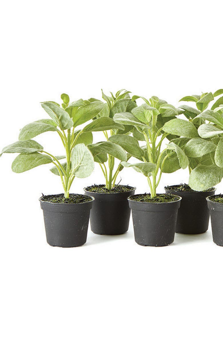 Napa Home & Garden Sage Drop-In 6.5" , Set Of 6, Alternate, color, Green