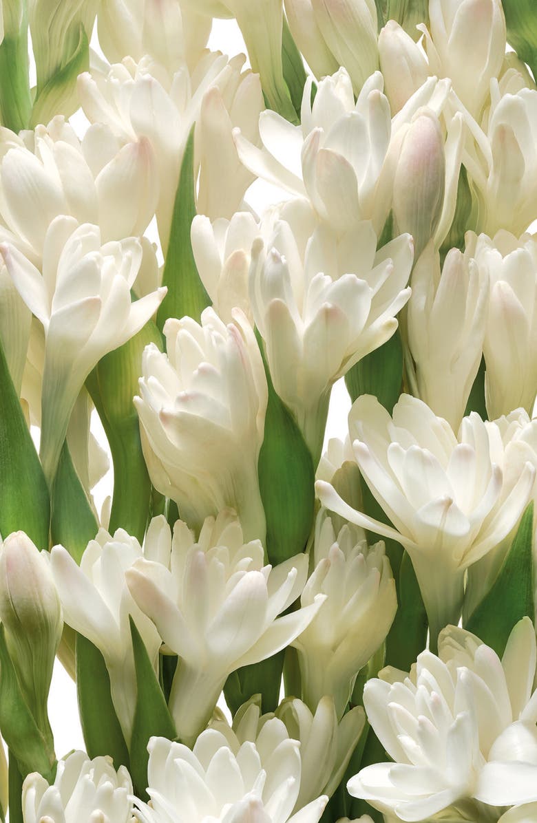 Tory Burch Jolie Fleur - Bleue Eau de Parfum Spray, Alternate, color, 