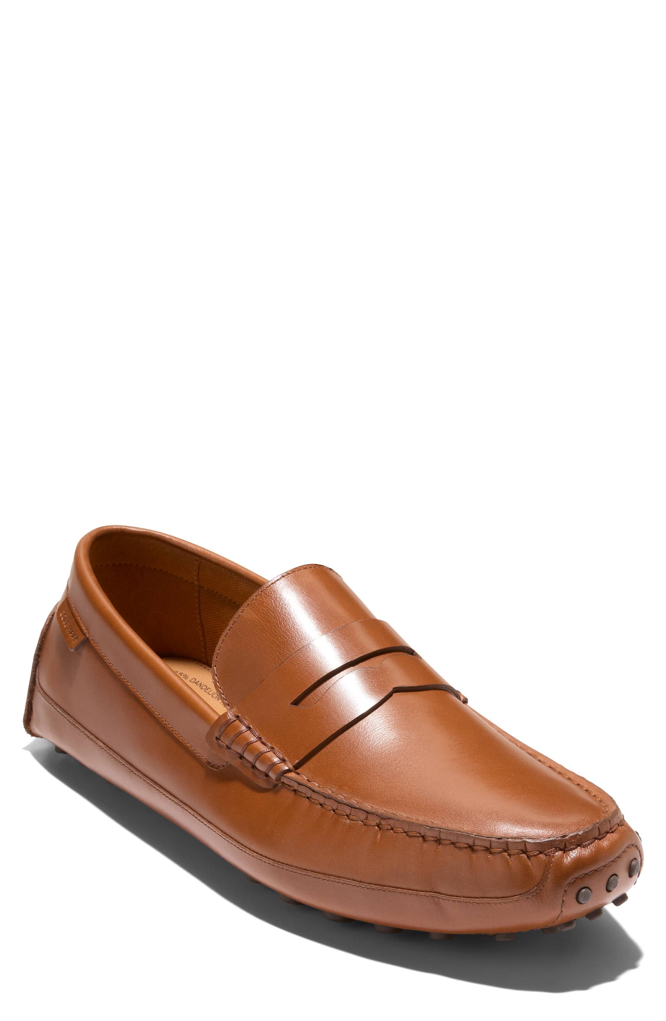  Ch British Tan / Ch Java