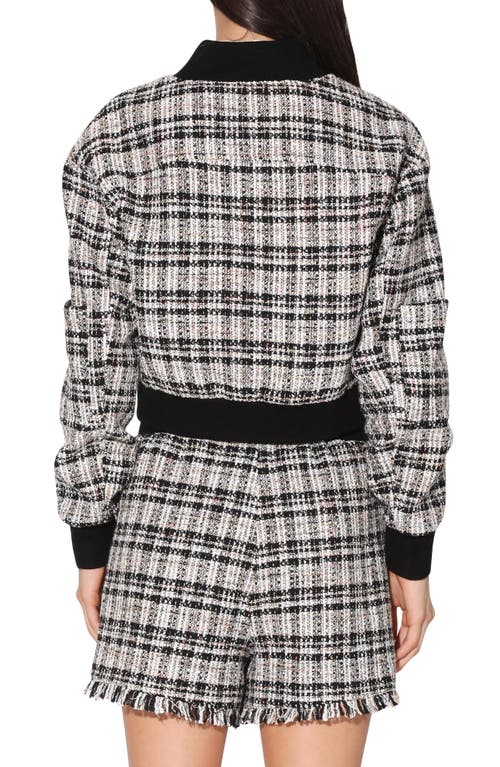 Walter Baker Raina Tweed Bomber Jacket In Montauk Tweed